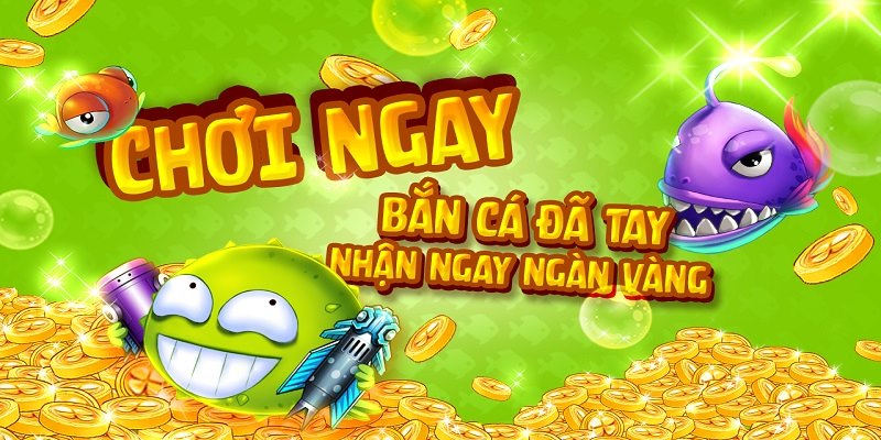 Cập nhật nhiều ưu đãi tuyệt vời