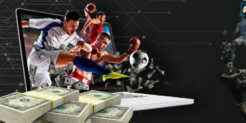 Độ hấp dẫn của sảnh CMD sport