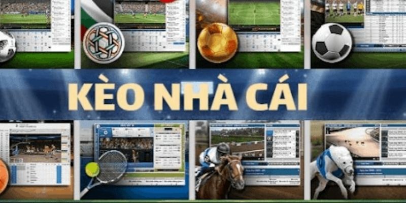 Kèo nhà cái VIn777 công bằng, xanh chín