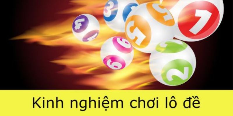 Nuôi khung bạch thủ lô 3 ngày hiệu quả