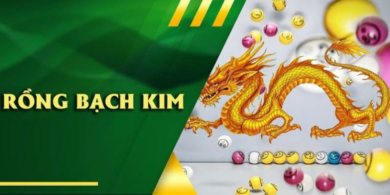 Tạo dàn đề rồng bạch kim từ kinh nghiệm các chuyên gia